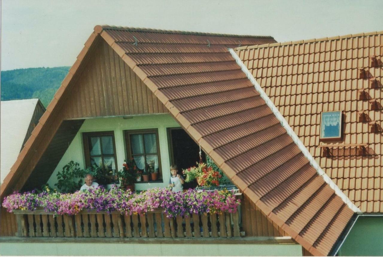 FeWoMaurer WG1 Dachgeschoss Altendorf  Exterior foto